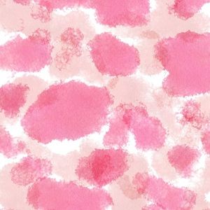 Meet your Posher, Annalisa